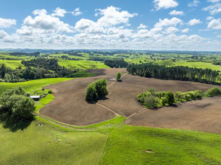 1232B Hetherington Road Huntly_0