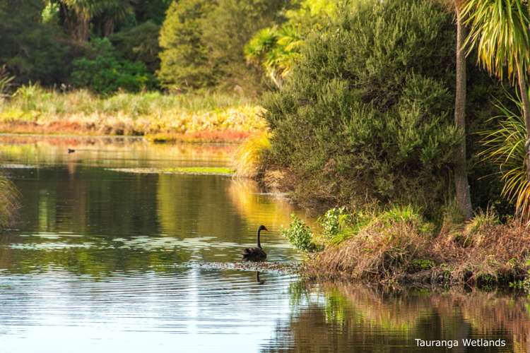 97 Millers Road Brookfield_21