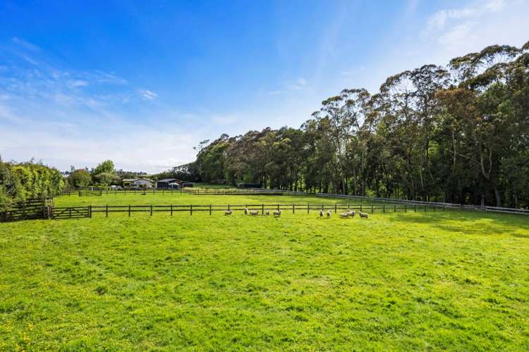 261 Sutton Road Drury_9