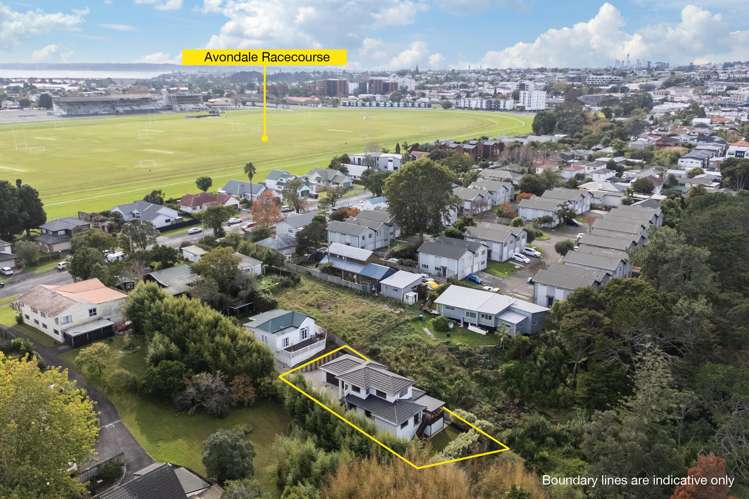 70A Wingate Street Avondale_19