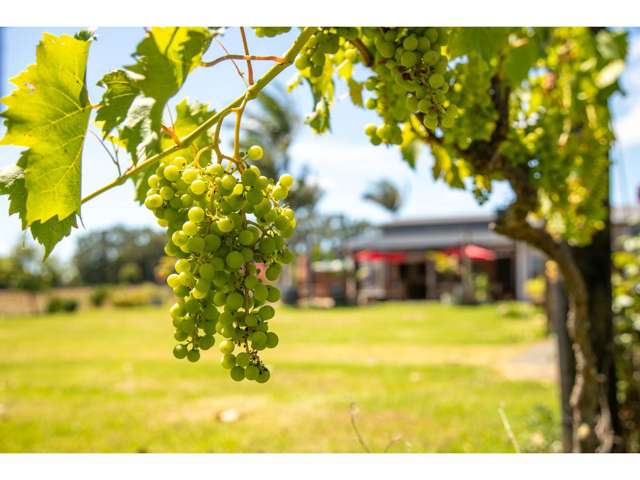 165A Waimate North Road Kerikeri_1