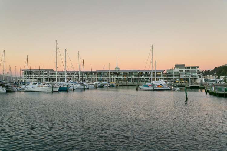 3b/6 Clyde Quay Wharf Te Aro_15