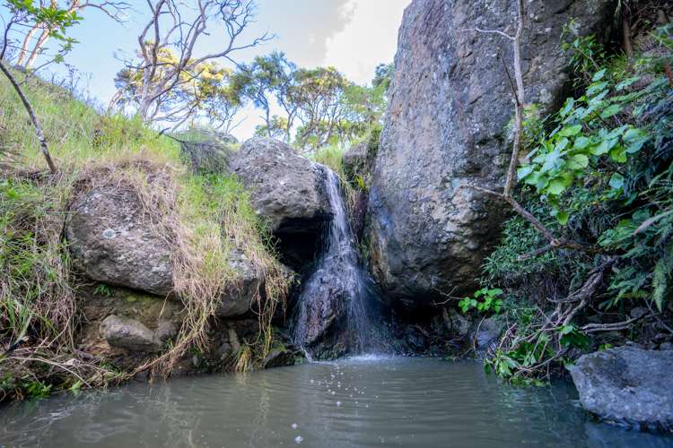 196b Ocean Beach Road Whangarei Heads_21
