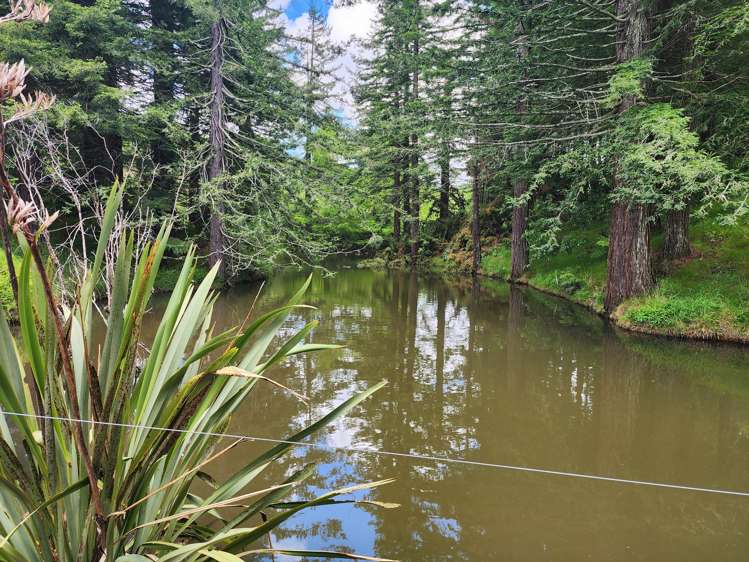 241 Work Road Aongatete_7