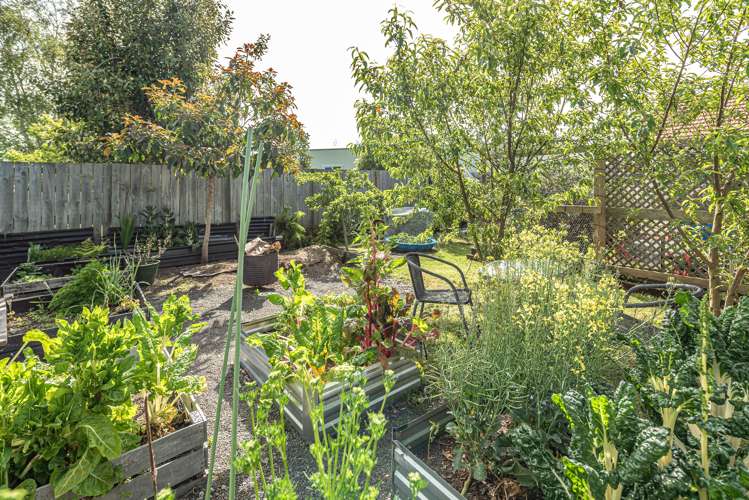 12 Broughton Street Wanganui East_5