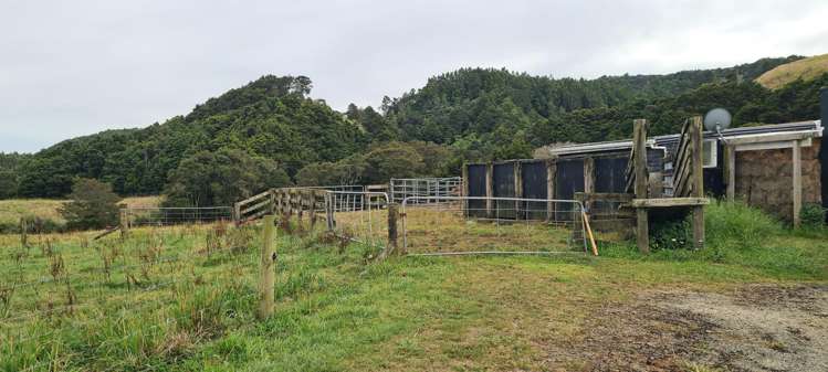Lot 2/675 Gorge Road Maungaturoto_22