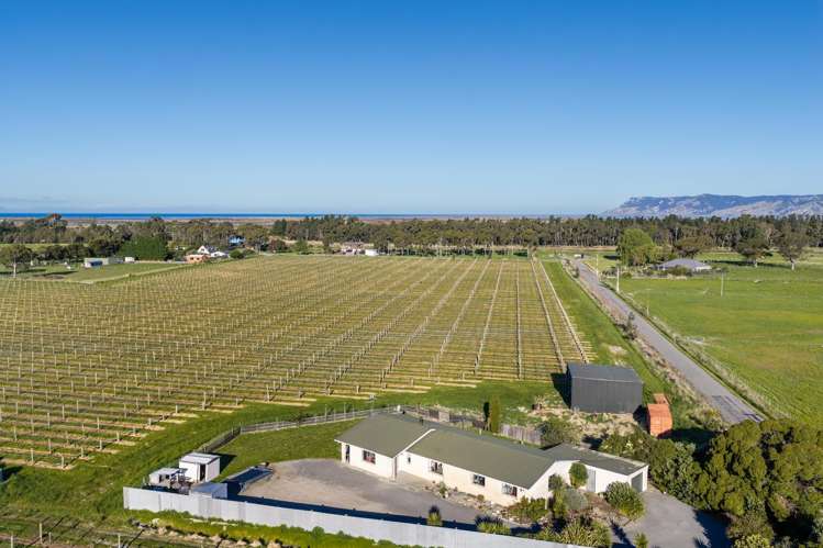 687 Dillons Point Road Blenheim_12