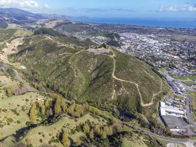 22 Nikau Palm Road_3