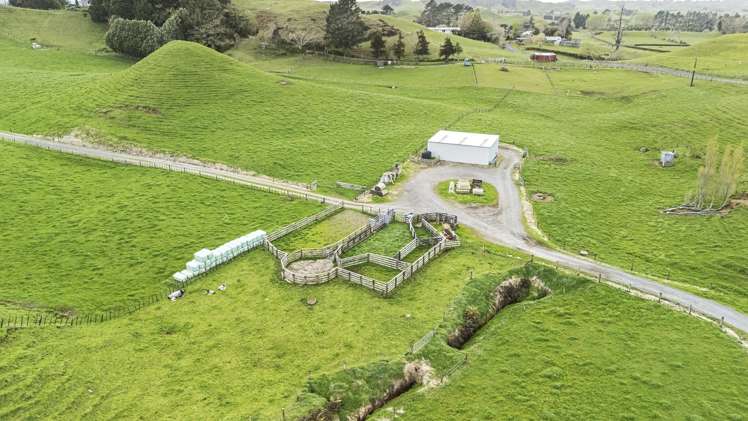 794 Tariki Road Ratapiko_5