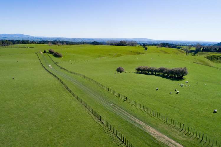 628 Pakaraka Road Kaimai Mamaku Conservation Park_4