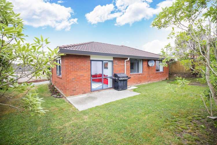 16 Plumstead Rise Glen Eden_6