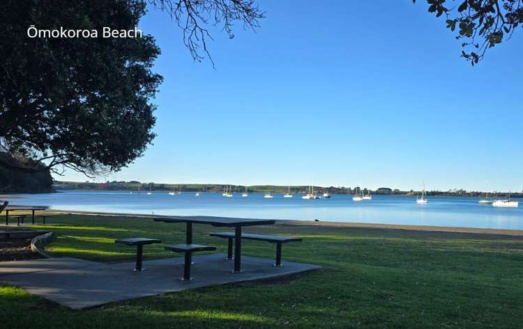 21 Pioneer Crescent Omokoroa_15