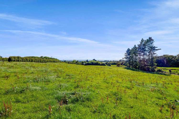 2175 Egmont Road Kaimiro_15