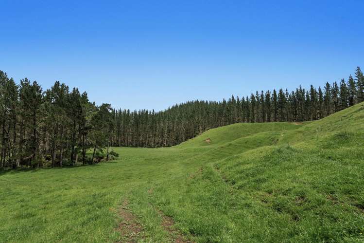 26 Settlement Road Pikowai_16