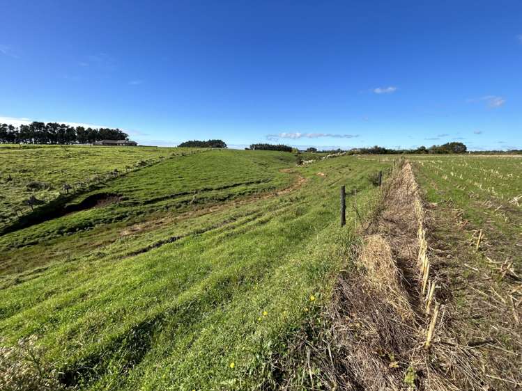 Matarikoriko Road Waitara_3