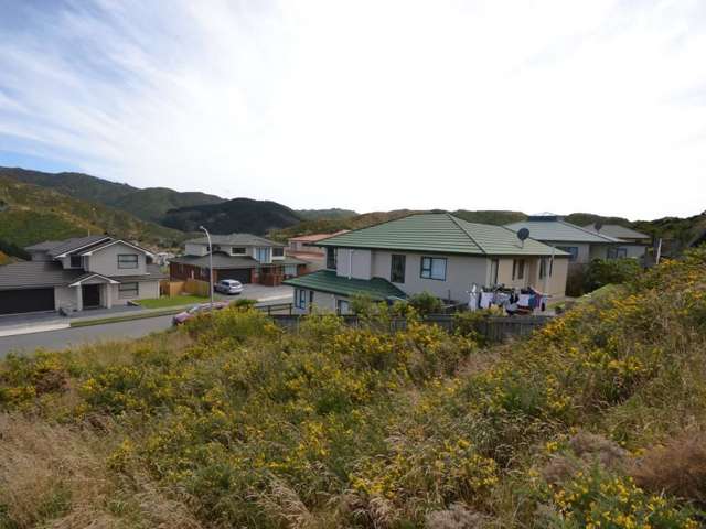 11 Jordan Street Island Bay_4