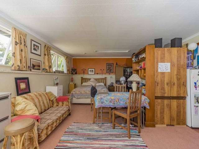 18 Douglas Road Wakatu_4