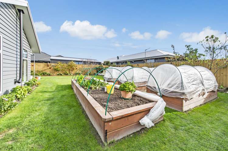 45 Navy Loop Rolleston_24