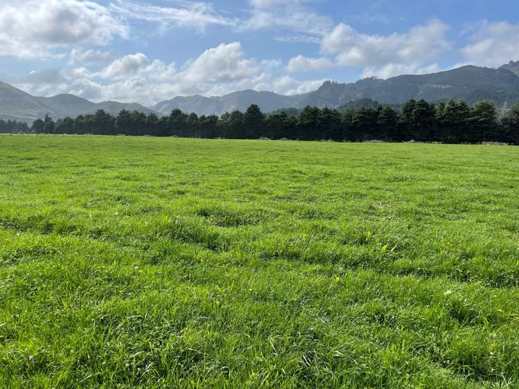 1405 Mangleton Road Central Hawkes Bay Country_8