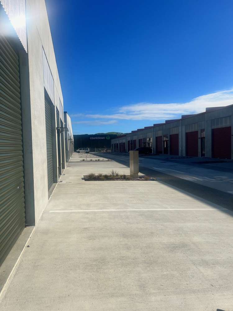 Units 30 and 31/20 William Earp Place Tawa_2