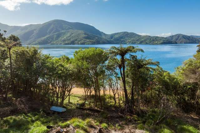 Secluded Beach Front Marlborough Sounds Land