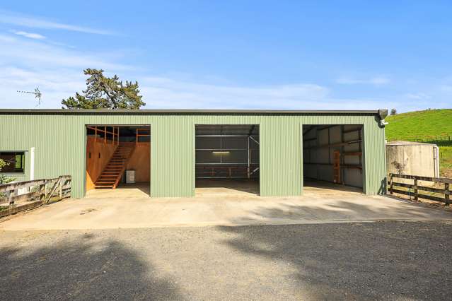 37e Mangauika Road Pirongia_4