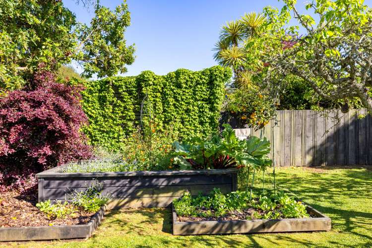 17 Masters Avenue Hillcrest_33