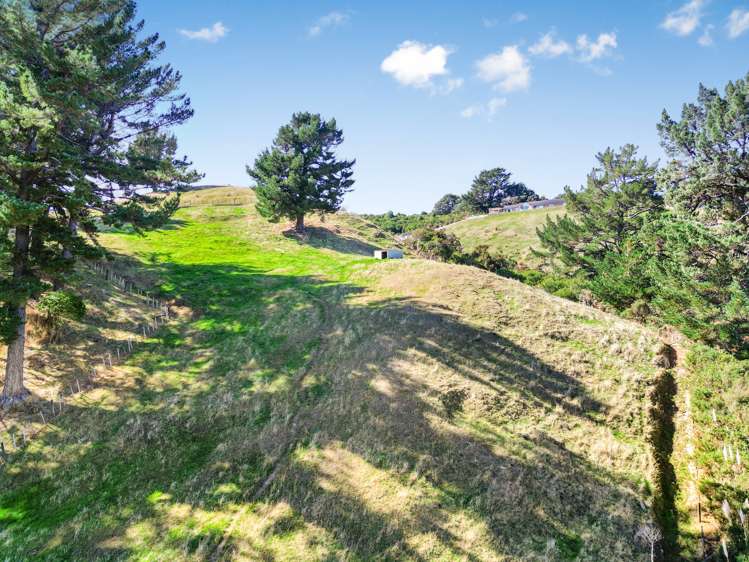 273d Wallaceville Road Wallaceville_18