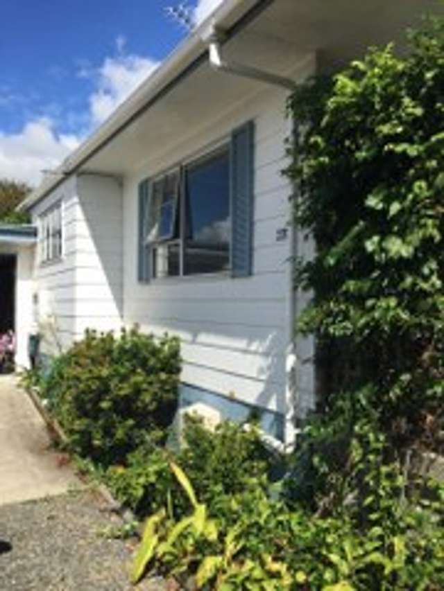 62b Alison Street Hamilton Lake_3