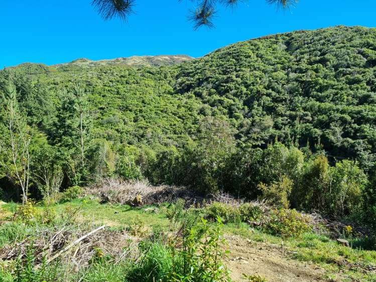 238 Stratton Street Normandale_7