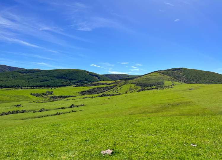 194 Beaumont Station Road Ohai_1