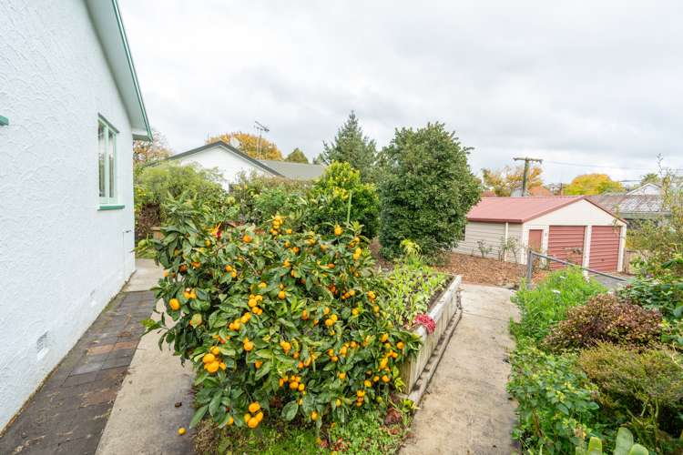 4b Park Terrace Hamilton Central_18