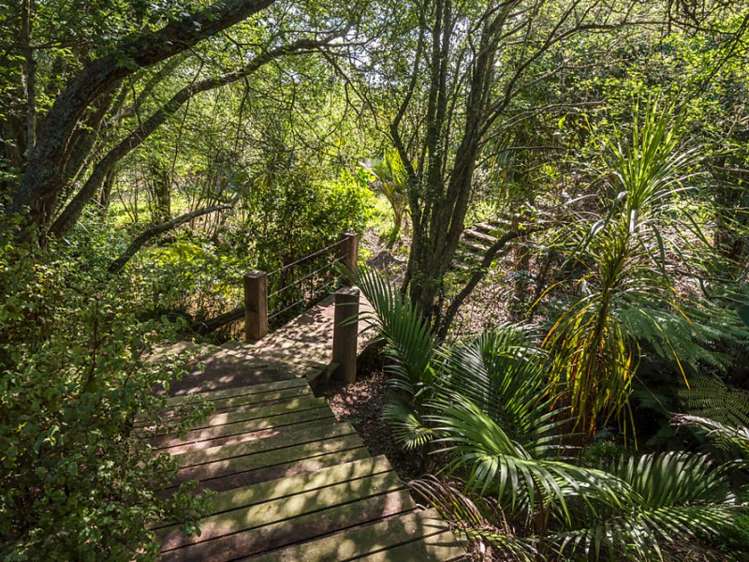 132 Wades Road Whitford_14