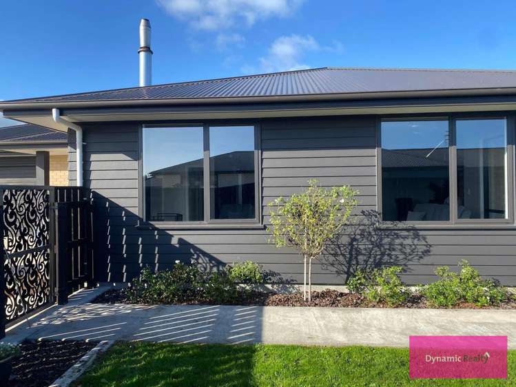 15 George Street Bulls_24