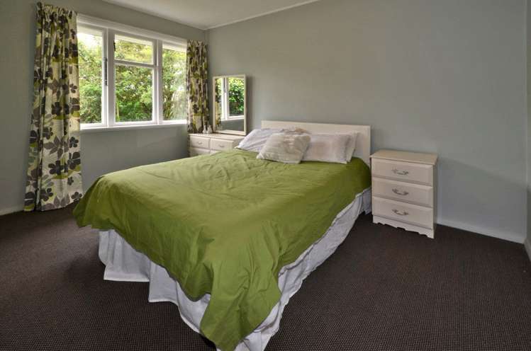 51 Manurere Street Hei Hei_7