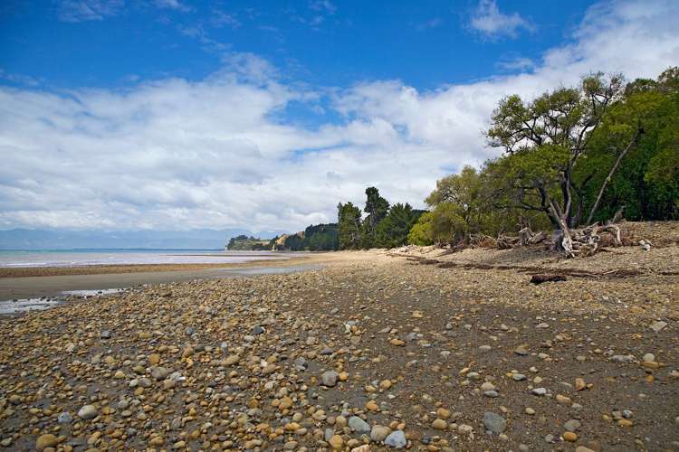 6 Cliff Road Tasman_25