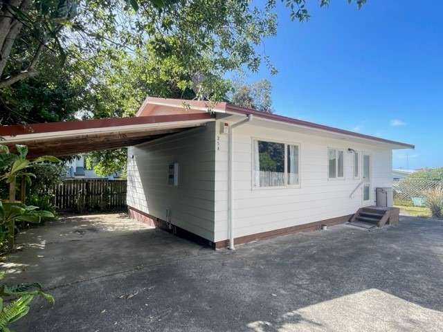 Tidy Family house at Kelston