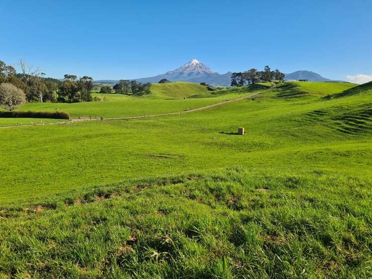 801 Mangorei Road Mangorei_24