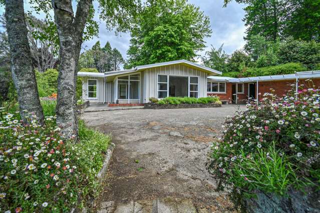 558 Old Coach Road Te Pohue_3