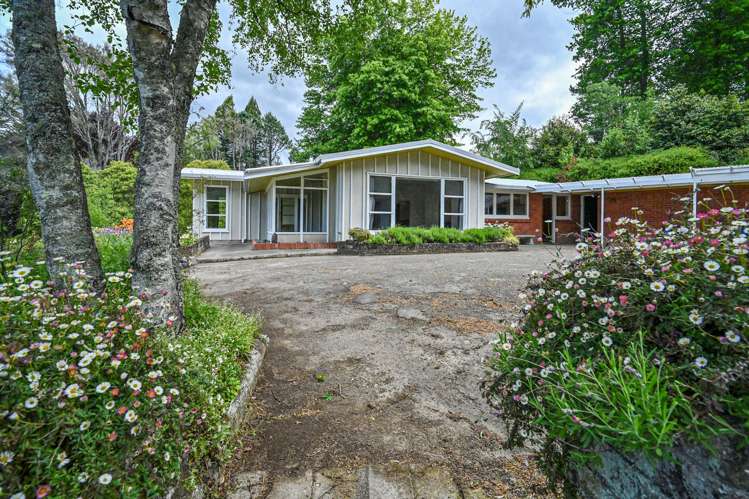 558 Old Coach Road Te Pohue_3