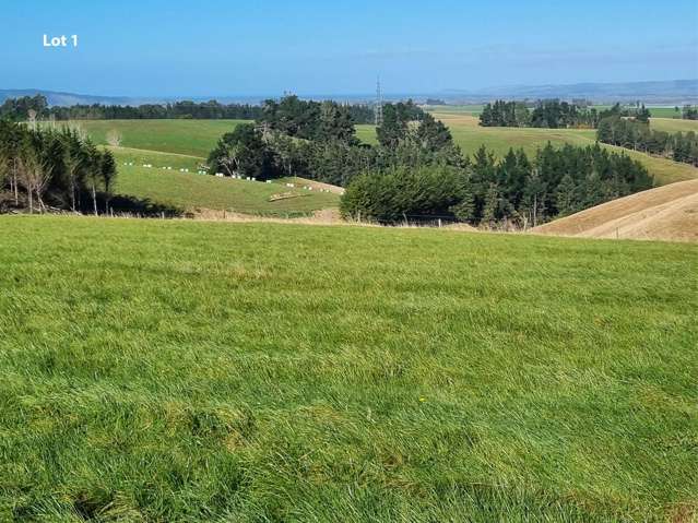Cameron Road, Hillend Balclutha_3