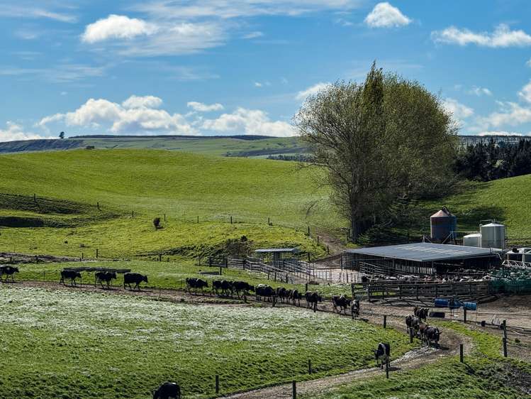 316 McDonald Road Pukerau_16