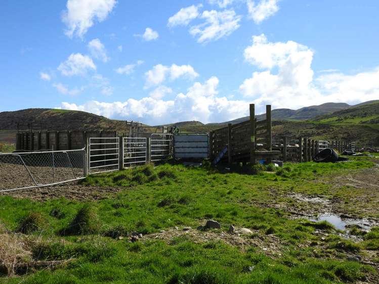 972 Slopedown Road Catlins Surrounds_10