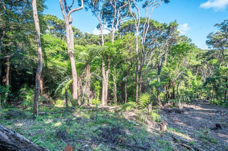 52 Glen Brook Road Omiha_9