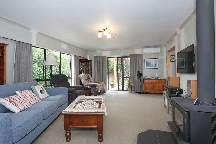 12 Hammond Street Bulls_5