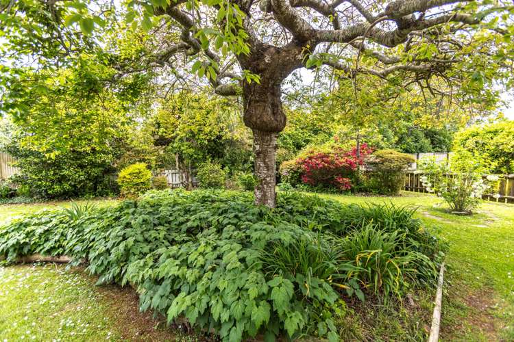 33a Ainslie Road Paeroa_5