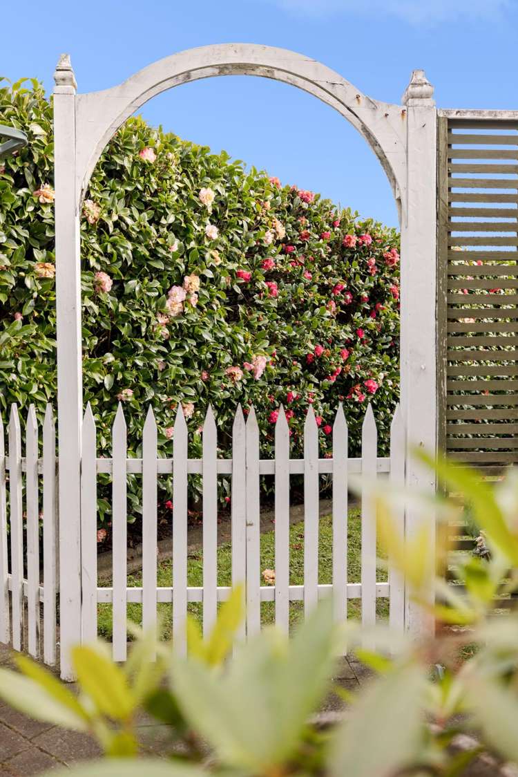 169b Maungatapu Road Maungatapu_22