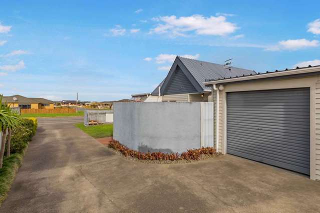 110a Fitzherbert Avenue Tawhero_3