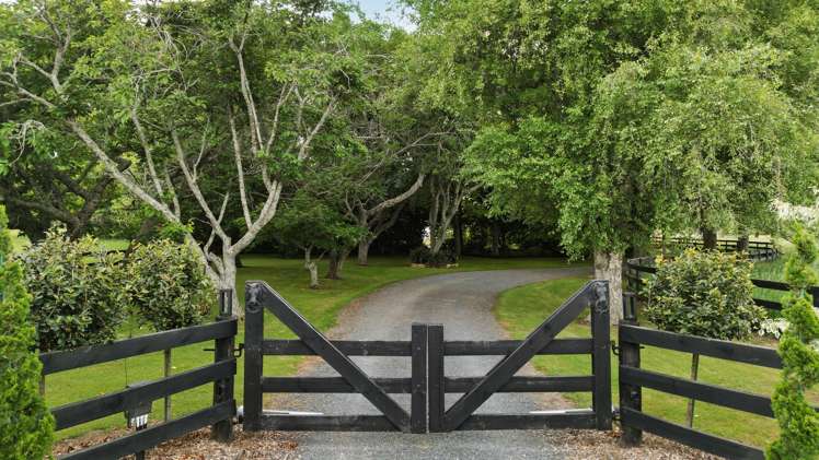 509 Marychurch Road Matangi_2