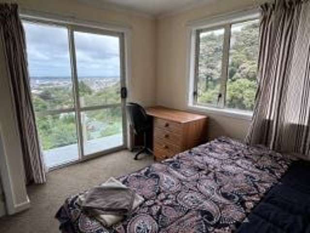 16A Lachlan Avenue North Dunedin_2